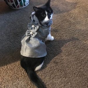 Meet your Posher, Brian